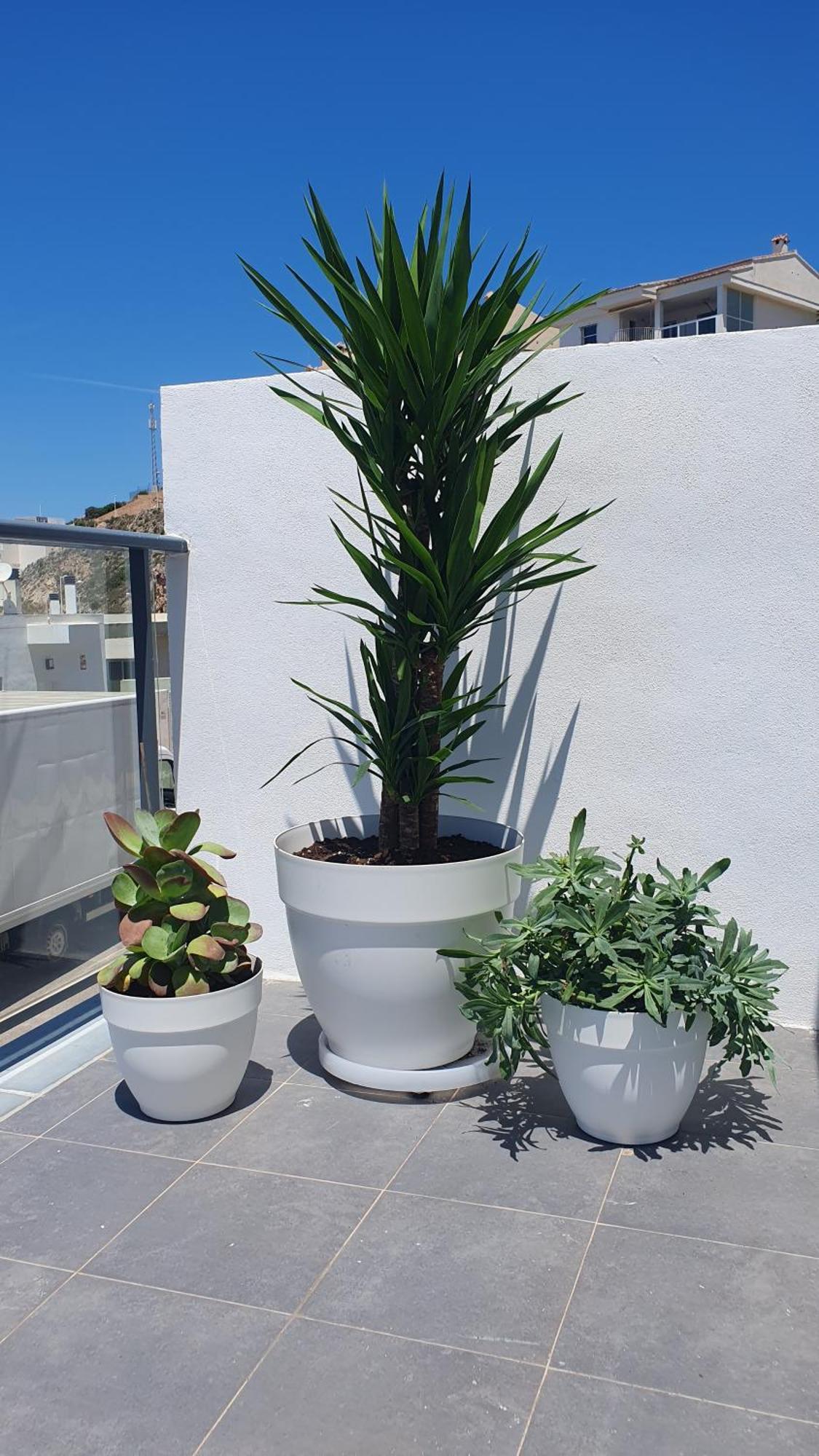 Casa Buena Vista Con Piscina Y Ascensor Villa Cullera Kültér fotó